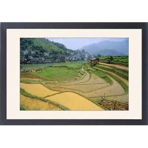 Rice paddies in Longsheng, Guangxi, China Framed Prints