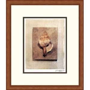  Seashell Study III by Julie Nightingale   Framed Artwork 