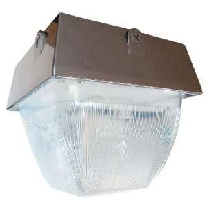  RAB Lighting VAN5SH100QT Vandalproof 12 X 12 Ceiling 100W 