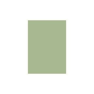  Dimensions Oversized Color Sample   Lush Greenery: Home 