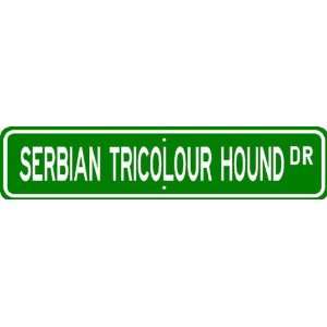 Serbian Tricolour Hound STREET SIGN ~ High Quality Aluminum ~ Dog 