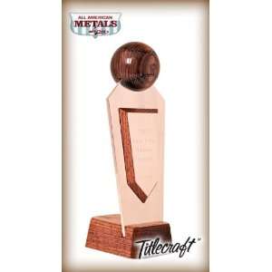  All American Metals Baseball Trophy: Sports & Outdoors