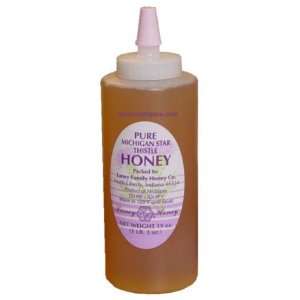 Laney Pure Michigan Star Thistle Honey in Jumbo Bottle, 19 fl oz