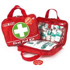    Deluxe 70 Piece First Aid / Holiday Survival Kit: Home & Kitchen