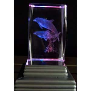  3D (Three Dimension) Laser Crystal Figurine (0172): Home 