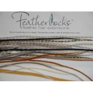  Featherlocks Natural Feather Hair Extensions   Exotic 