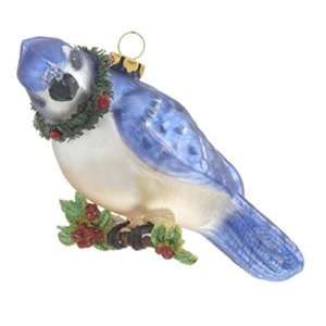  Personalized Bluejay Christmas Ornament: Home & Kitchen