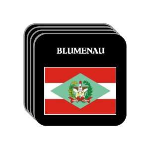  Santa Catarina   BLUMENAU Set of 4 Mini Mousepad 