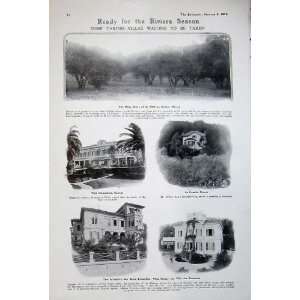   1908 Olive Grove Hyeres Villa Pregny Terrasses Theatre