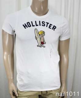 BNWT New Mens Shirts Hollister HCO Dudes Muscle Fit T Shirt NWT Raised 