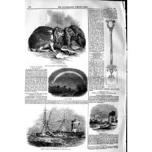  1845 PRIZE RABBITS LUNAR RAINBOW EGERMONT CASTLE SHIP 