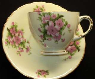 SUTHERLAND PEACH BLOSSOM simplytclub cup and saucer ROPE HANDLE  