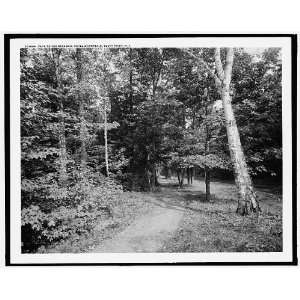   Path to the steamer,Hotel Champlain,Bluff Point,N.Y.: Home & Kitchen