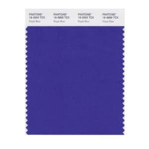   PANTONE SMART 19 3955X Color Swatch Card, Royal Blue: Home Improvement
