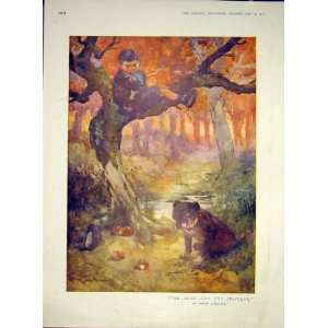  Swag Boy Dog Apple Tree Orchard Fine Art 1911 Rowntree 