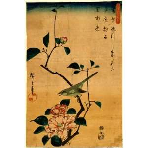   uguisu. TITLE TRANSLATION: Camellia and Bush Warbler.: Home & Kitchen