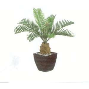 12 Plastic Cycas Plant 