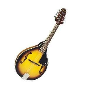 Johnson MA100 A Style Mandolin Musical Instruments