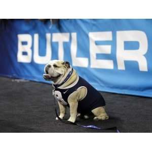  Butler Bulldogs Blue II Canvas Photo