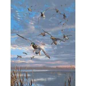  Scot Storm   Closing Minutes   Mallards Artists Proof 