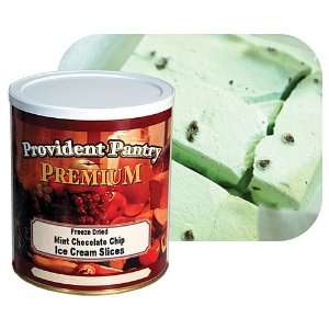  Freeze Dried Mint Chocolate Chip Ice Cream Slices 