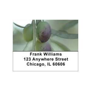  Olive Branch Address Labels