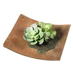   Mixed Baby Succulent Artificial Roof Garden Plant: Home & Kitchen