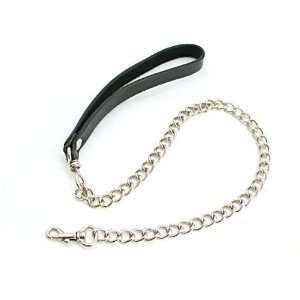  24 inch Light Weight Chrome Leash: Health & Personal Care