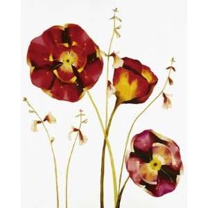    Poppies   Poster by Julia Ogden (15.75x19.75): Home & Kitchen