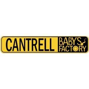   CANTRELL BABY FACTORY  STREET SIGN: Home Improvement