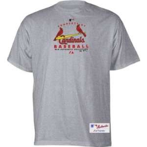  St. Louis Cardinals Property Of T shirt: Sports & Outdoors