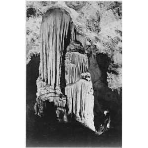  Ansel Adams Poster   Carlsbad Caverns National Park New 