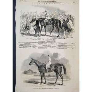   1846 Doncaster Races St Leger Winners Horses Old Print
