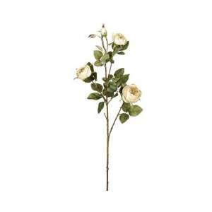  27 Silk Dried Cabbage Rose Bud Flower Spray  Cream/Beige 