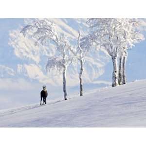 Chamois on Snowy Hillside with Mountain Background, Switzerland 