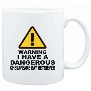  WARNING  DANGEROUS Chesapeake Bay Retriever  Dogs