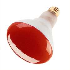 12) 65 BR30 RED 65 Watt R30 Reflector Flood Light Bulb  