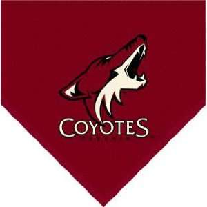 Phoenix Coyotes Team Fleece Blanket:  Sports & Outdoors