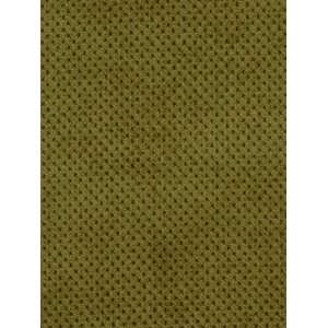  Robert Allen RA Plush Softy   Green Tea Fabric Arts 