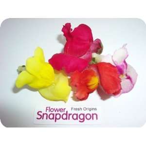 Edible Flower   Snapdragon   4 x 50 Count  Grocery 