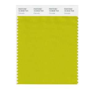   PANTONE SMART 15 0548X Color Swatch Card, Citronelle: Home Improvement