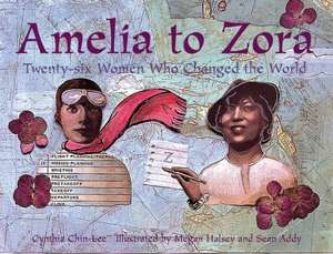 amelia to zora twenty six cynthia chin lee paperback $