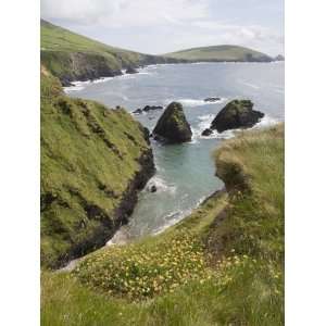 View From Slea Head Drive, Dingle Peninsula, County Kerry, Munster 