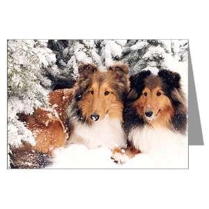 Snow Shelties Christmas Cards Pk of 10 Music Greeting Cards Pk of 10 