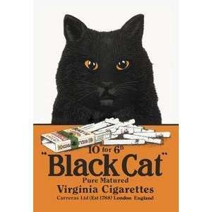   Black Cat Pure Matured Virginia Cigarettes   01614 0
