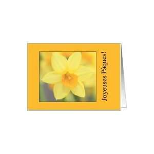  yellow daffodil french easter greeting Card Health 