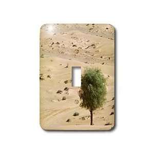  Kike Calvo Desert   The wind molds the sand into beautiful 