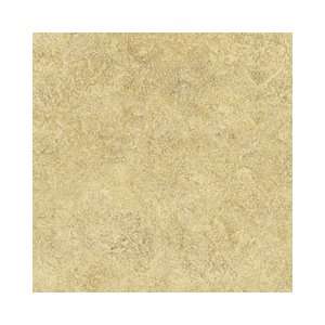  Mannington Primus  Lacosta 9 Wheat Vinyl Flooring: Home 
