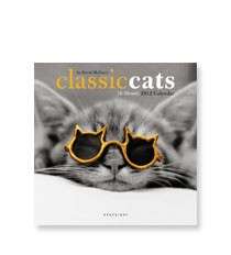 CLASSIC CATS by David McEnery 2012 Mini CALENDER 7 X 7  