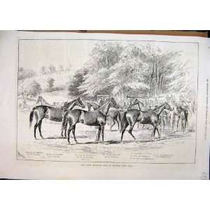   1878 Yearling Sale Marden Deer Park Blair Athol Horses: Home & Kitchen